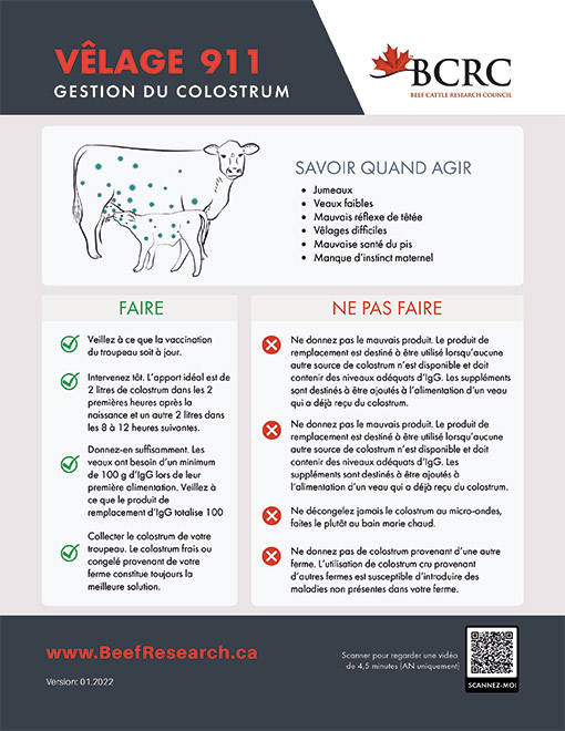 La fiche suivante nous montre les pratiques à adopter et à éviter lorsqu’on a un niveau inadéquat d’immunité colostrale.