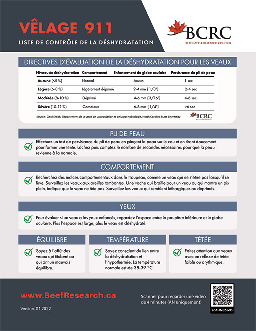 La fiche suivante présente les directives d’évaluation à adopter pour contrôler l’état de déshydratation. Les producteurs doivent faire un contrôle accentué sur l’état de la peau des veaux, leurs yeux, leurs réflexes de tétée, leur température, mais aussi leurs comportements (état d’équilibre).