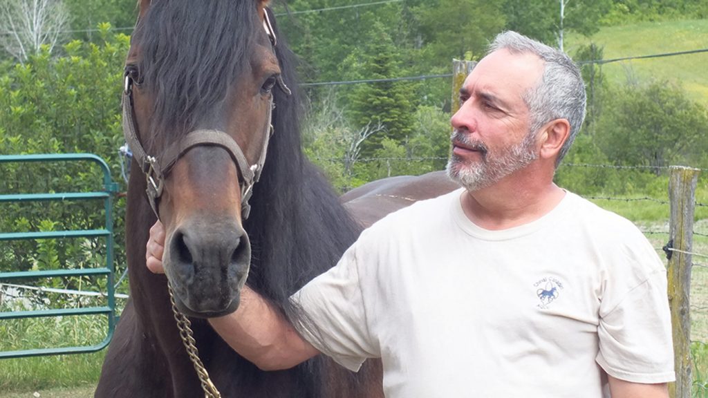 Mario Bélanger élève des chevaux Canadiens depuis trois décennies. Photo : Gracieuseté de Mario Bélanger