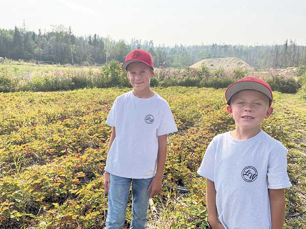 Nathan et Christophe Gélinas sont responsables de la cueillette et de la vente des fraises de la ferme.