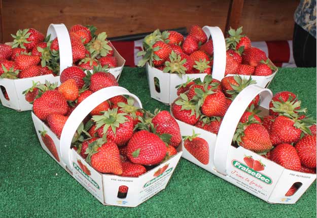 Les fraises du Québec sont arrivées. Denise Desmarais était fière d’ouvrir son kiosque Fraisebec de Sainte-Anne-des-Plaines pour la première journée ce matin. © Pierre-Yvon Bégin