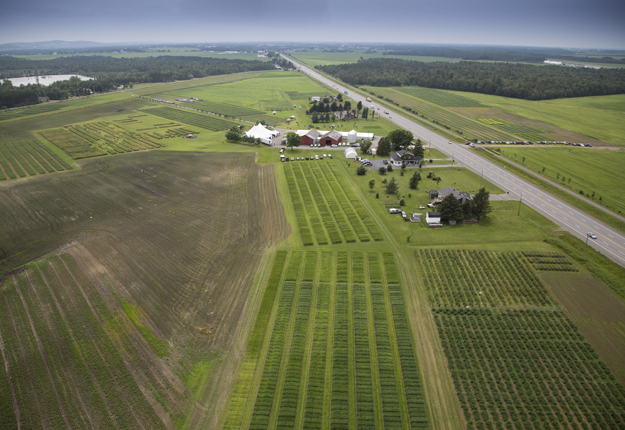 Le site de recherche de Semican fait près de 100 hectares et comprend 28 000 parcelles. Une portion est maintenant consacrée aux plantes de couverture. Crédit photo : Héli Centre