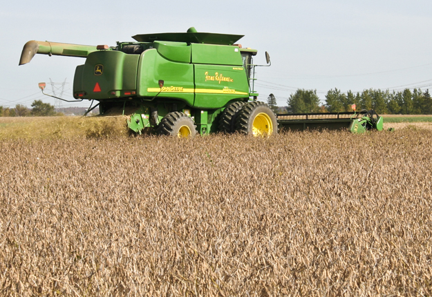 Les exportations de canola et de soya pourraient grimper avec l’accord du PTP. La hausse des cheptels porcin et bovin pourrait également accroître la demande de grain. Crédit photo : Martin Ménard/TCN