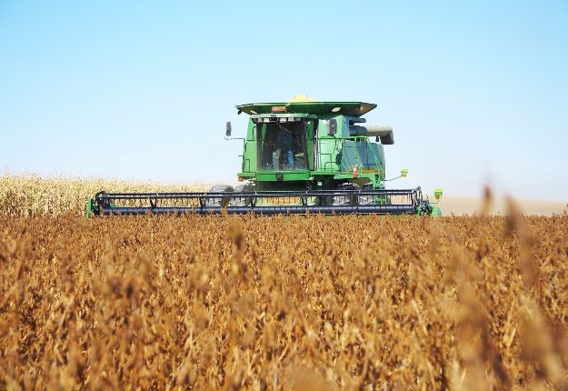 Les producteurs ont récolté plus de soya et de maïs qu’anticipé. Crédit photo : Martin Ménard/TCN