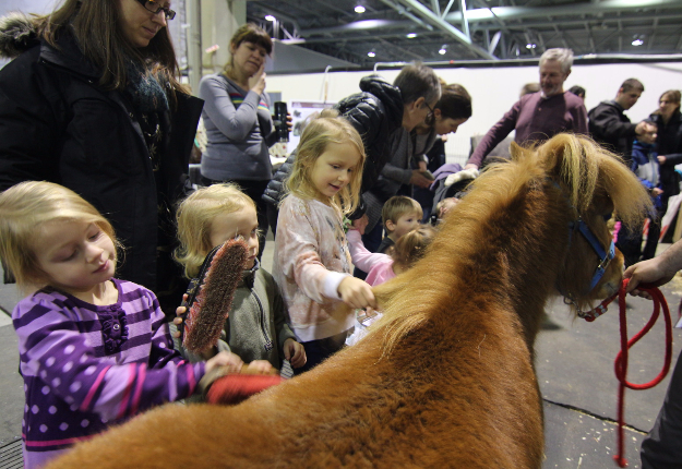 Les animaux sont toujours aussi populaires auprès des enfants, surtout des petits citadins qui n’ont pas souvent l’occasion de les côtoyer. Crédit photo : Marie-Catherine Guimond et Catherine Dalpé