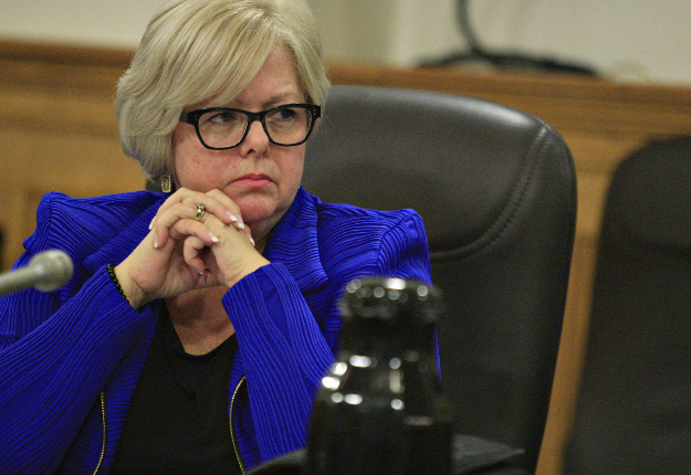 Sylvie D'Amours, porte-parole en matière d'agriculture, de pêcherie et d'alimentation pour la Coalition Avenir Québec. Crédit photo : Archives/TCN