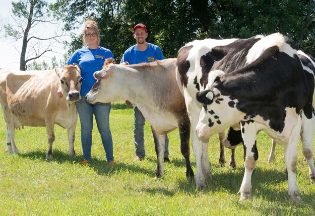 La Ferme Ferland est l’une des premières à détenir une certification attestant que ses vaches sont nourries sans OGM. La Laiterie Chalifoux mise sur cet élément distinctif pour la vente de certains produits. Crédit Photo : Philippe Manning