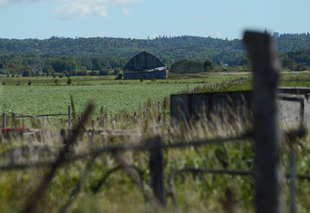 « Voilà une initiative qui illustre bien les retombées que peut produire la mise en œuvre d’un PDZA sur la vitalité de nos régions et sur la relève », a affirmé le ministre Paradis en conférence de presse. Crédit photo : Myriam Laplante El Haïli/TCN