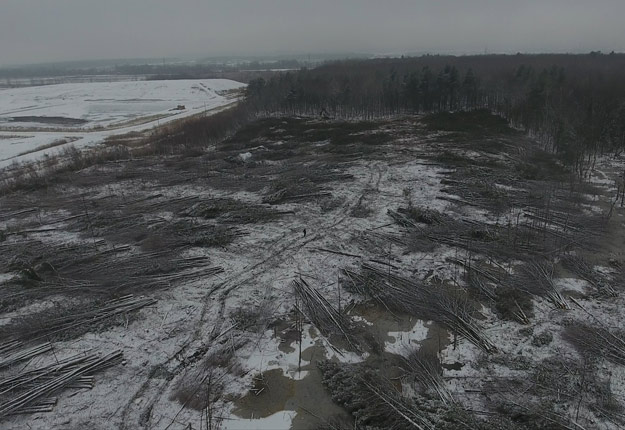 Plus de 10 ha de forêt auraient déjà été coupés par les promoteurs de l’aéroport de Mascouche/Terrebonne. Une injonction provisoire de la Cour supérieure vient de suspendre les travaux pour 10 jours. Photo : Gracieuseté du bureau du député Luc Thériault