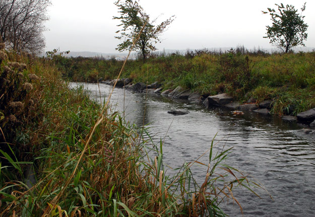 La campagne Opération bandes riveraines démontrera qu’une bande riveraine, c’est naturel et profitable. Crédit photo : Archives/TCN