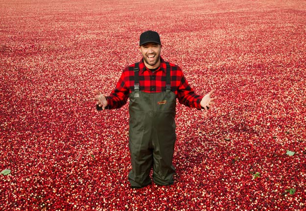 L’émission Arrive en campagne présente le chef Stefano Faita et une famille urbaine, qui passent 24 heures dans une ferme et vivent en direct toutes les facettes d’une production agricole. Crédit photo : Coco.tv