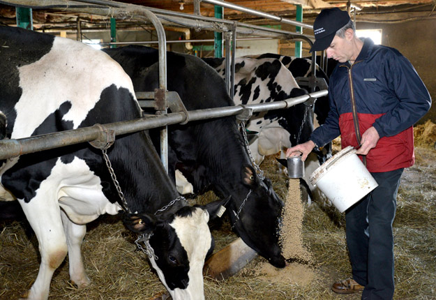 La Ferme Denis Desfossés s’étend sur 27 hectares. Le propriétaire dit récolter principalement du foin sec pour l’alimentation de son troupeau. Crédit photo : Gracieuseté PLQ