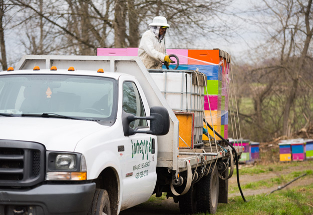 Intermiel enverra moins de ruches au Lac-Saint-Jean cette année. L’entreprise explique sa décision par les faibles prix et le manque d’abeilles. Crédit Photo : Martin Ménard/TCN