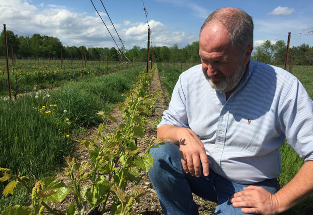 Charles-Henri de Coussergues affirme que les vignerons québécois peuvent désormais miser sur des cépages plus aromatiques, ce qui laisse entrevoir une progression de la diversité et de la qualité des vins. Crédit photo : Martin Ménard/TCN