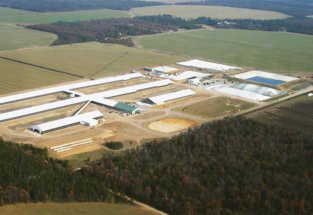 Même si des dizaines de producteurs de lait américains ont eu peur de ne plus pouvoir vendre leur produit, la très grande majorité de ceux-ci ont trouvé un nouvel acheteur à temps. Photo : Central Sands Dairy, Wisconsin