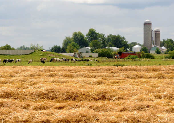 Agriculture et Agroalimentaire Canada n’accepte plus les demandes relatives au Programme d’investissement pour fermes laitières. Photo : Archives TCN