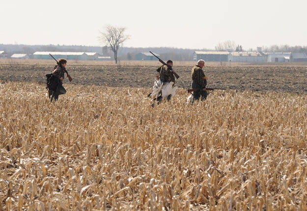 La chasse est un excellent moyen de réduire les dommages causés par la faune. Crédit photo : Archives/TCN