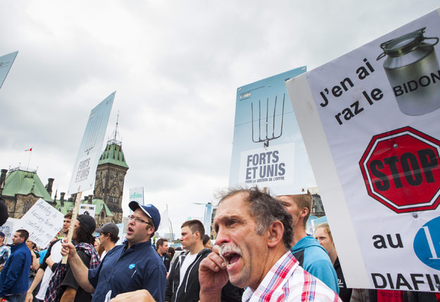 La lutte contre l’importation de lait diafiltré a presque cessé après l’introduction de la nouvelle classe 7. Crédit photo : MarieMichèle Trudeau/Archives TCN