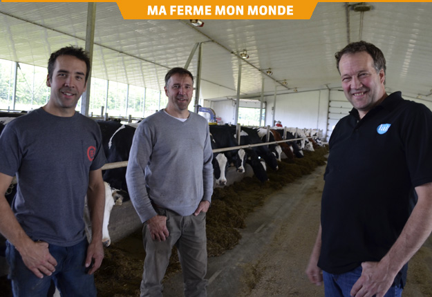 Les frères Alexandre, Daniel et Pierre Lampron dans la nouvelle étable où le bien-être des animaux et l’environnement de travail sont améliorés. Crédit photo : Pierre Saint-Yves