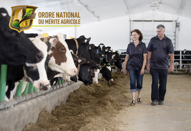 La Ferme Pellerat, de Saint-Roch-des-Aulnaies, a remporté la plus haute distinction décernée par l’Ordre national du mérite agricole, le 29 septembre. Crédit photo : Éric Labonté, MAPAQ