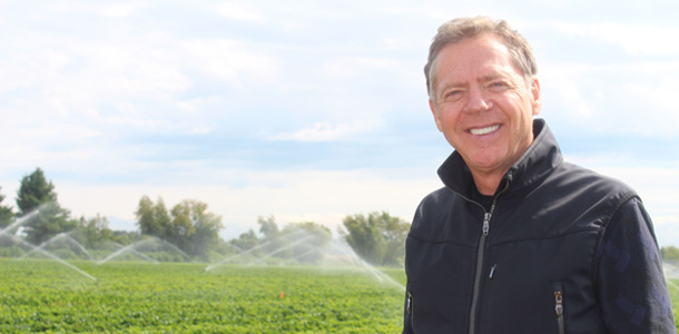 Luc Lareault, pépiniériste, exporte ses plants de fraises en Floride, au Texas et en Louisiane, des États touchés par les ouragans Irma et Harvey. Crédit photo: Archives TCN