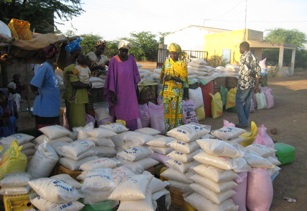 UPA DI a contribué de façon significative au projet d’autosuffisance en riz du Sénégal. Crédit photo : UPA DI