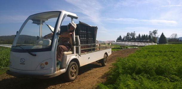 Ce camion utilisé pour transporter le matériel et les légumes constitue un premier pas pour en arriver à changer tout l’équipement roulant de la Ferme aux petits oignons pour des véhicules électriques. Crédit Photo : Ferme aux petits oignons