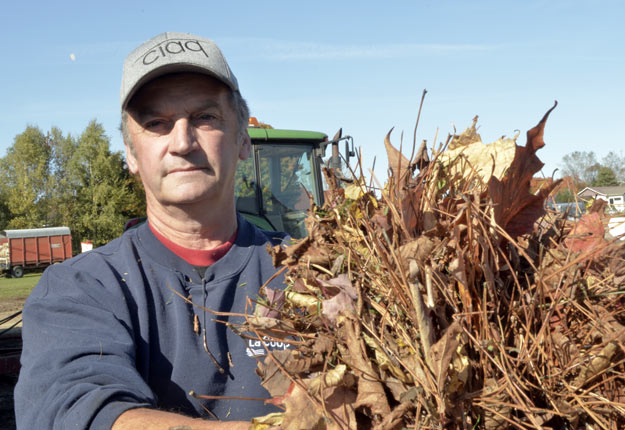 Le producteur Jean Matteau recevra cette année encore des tonnes de feuilles mortes et d’autres résidus verts qu’il mélangera au fumier pour enrichir ses terres. Crédit photo : Pierre Saint-Yves