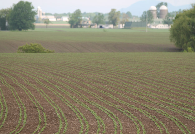 La Montérégie est la région qui a connu le plus grand nombre de transactions de terres de 2006 à 2016, soit 4 953 pour un total de 1,7 G$. Crédit photo: Pierre-Yvon Bégin/Archives TCN