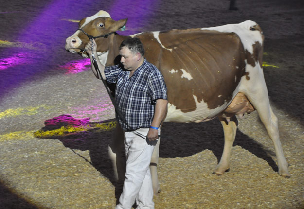 Pierre Boulet, un éleveur de Montmagny, montre Greenlea A Care Red Ets, une vache Holstein Rouge et Blanc qui a remporté le titre de Grande Championne du Suprême laitier 2017 tenu à Saint-Hyacinthe. Crédit Photo : Gracieuseté du Suprême laitier