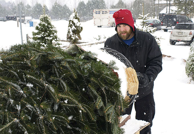 La Ferme Quinn a tenté de s’approvisionner auprès d’autres producteurs de sapins québécois, sans succès. Gracieuseté. de la Ferme Quinn.