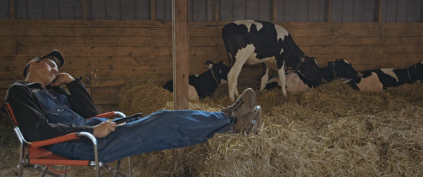 Un jeune fermier s’endort en surveillant ses vaches. Crédit photo : Gracieuseté de Jean-François Caissy