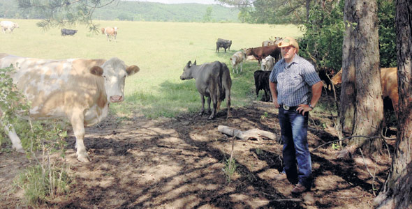 Charles Huneault est anxieux depuis qu’il a intercepté un voleur qui s’apprêtait à embarquer, en pleine nuit, des vaches et des veaux dans son pâturage. Crédit photo : Charles Huneault