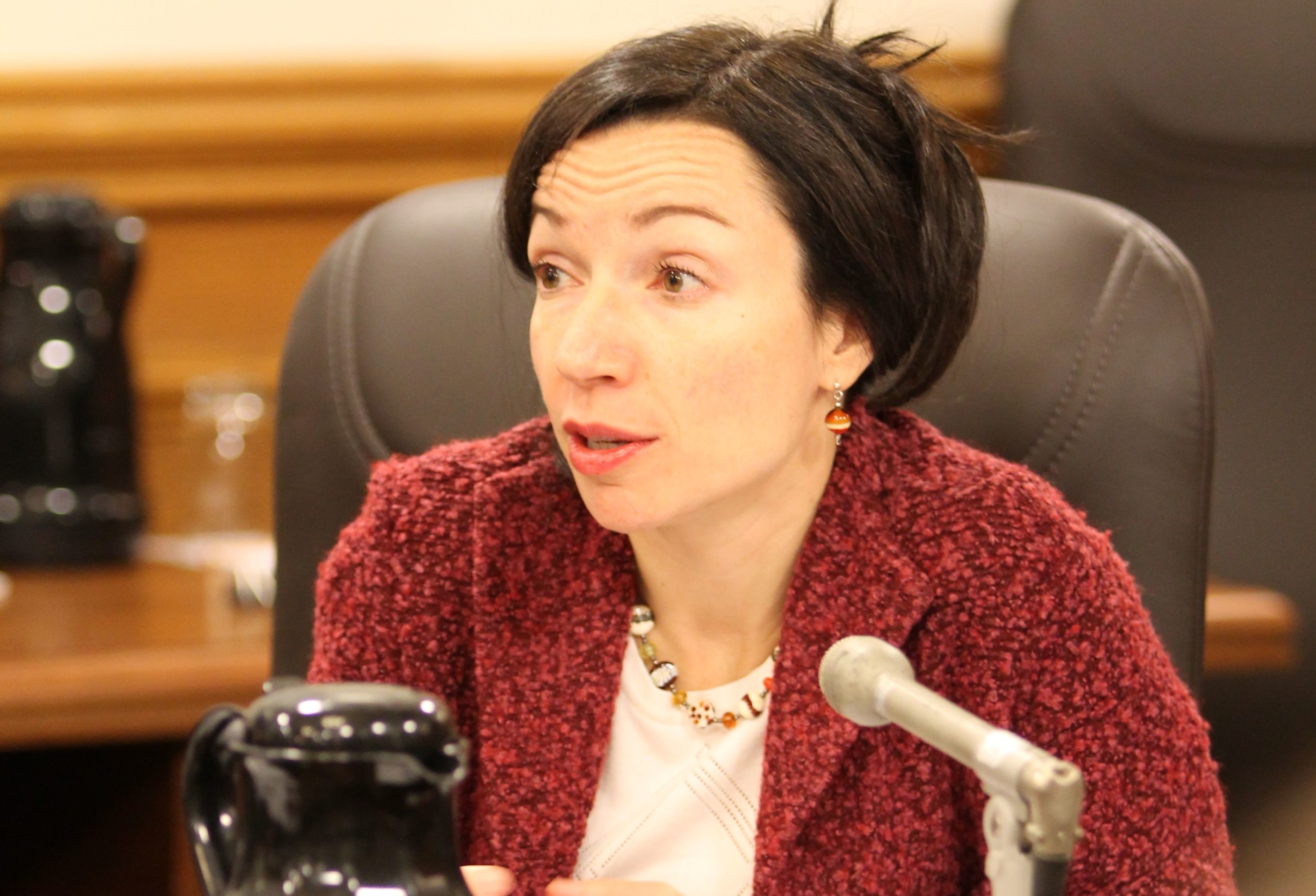 L’Assemblée nationale a adopté à l’unanimité une motion à l’initiative de Martine Ouellet, députée indépendante et également cheffe du Bloc québécois. Photo : Archives/TCN