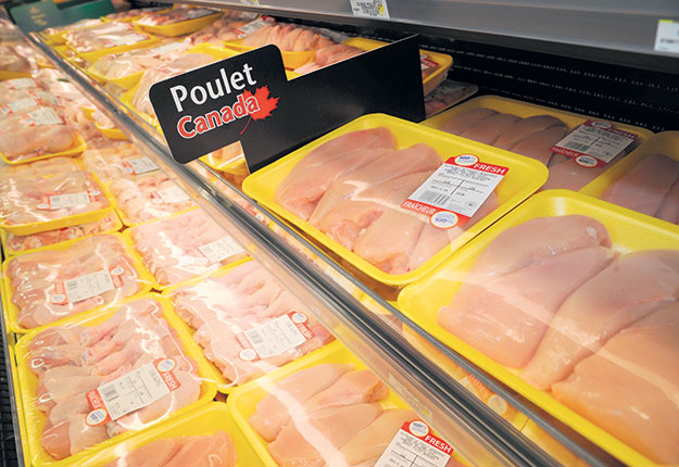 La viande de poulet est la préférée des Canadiens. Crédit photo : Archives/TCN