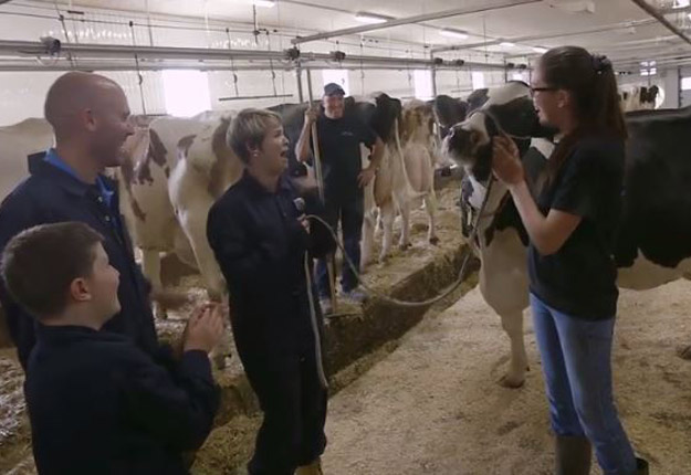 La peur des vaches de Josée Mc Nicoll a été dévoilée au grand jour lors du premier épisode de la saison. Crédit photo : Coco.tv.