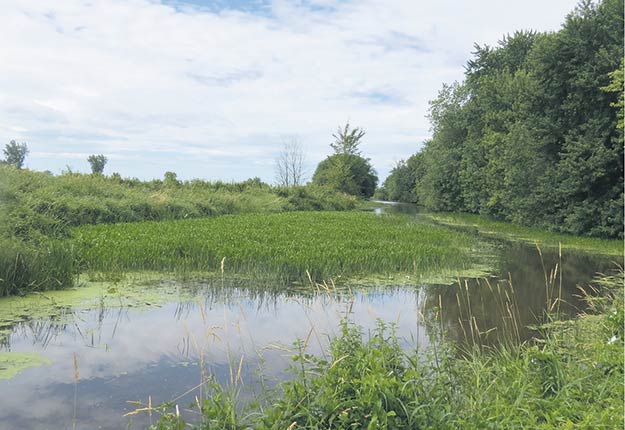 Les producteurs sont appelés à s’impliquer activement dans la préservation de l’écosystème fragile du lac Saint-Pierre. Sur la photo, la rivière Pot au Beurre. Crédit photo: UPA de la Montérégie