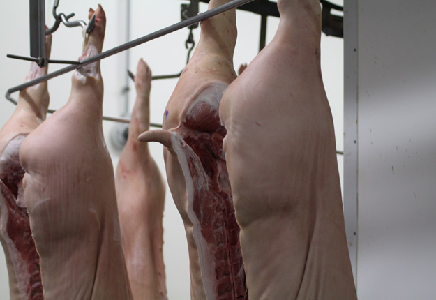 Le Mexique annonce une surtaxe de 20 % sur le porc américain. Crédit photo : Myriam Laplante El Haïli/Archives TCN