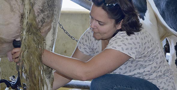 Michelle Émilie Frenette, dans la jeune vingtaine, est la doyenne du groupe. Elle vient chercher un complément de formation pour poursuivre son changement de carrière et passer de l’architecture  à la production laitière.