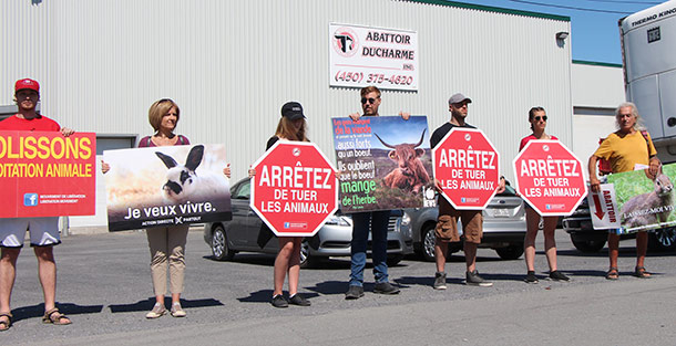 Le 9 juillet, une dizaine d’activistes se sont rassemblés devant l’Abattoir Ducharme pour protester contre toute forme d’exploitation animale. Crédit photo : Rosalie Dion/TCN