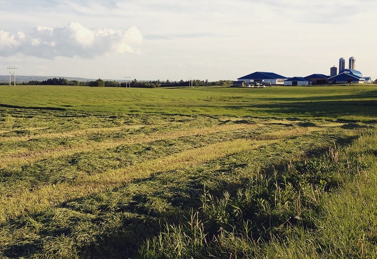 L’été, il faut oublier le concept de vacances, de chalet ou de bateau parce que quand il fait beau, on est dans le champ. Crédit photo : Agrimom