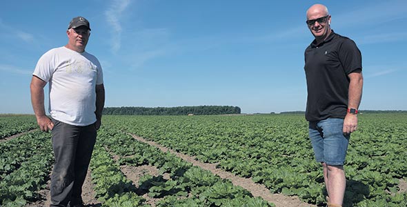 Ferme Jean Forest et Fils. Des bok choy, des choux plats, des choux napa et courges kabocha sont produits en champs  à Saint-Jacques-de-Montcalm. Ces légumes asiatiques sont ensuite distribués par Organzo, aux États-Unis et même en Asie.