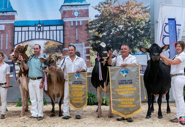 Les Grandes Championnes du Suprême laitier 2018. Crédit photo : Gracieuseté du Suprême laitier