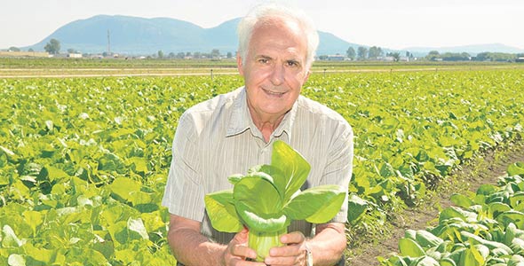 Fermes Trudeau. Spécialisée en fines herbes depuis plus de 30 ans, cette ferme de la Montérégie produit aussi des légumes exotiques, tels le bok choy, la bette à carde, le chou kale et la citronnelle.