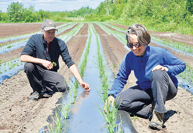 Guillaume Venne et Corine Pelletier ont choisi Sainte-Luce, au Bas-Saint-Laurent, pour démarrer Saveurs Mitis, une entreprise maraîchère certifiée biologique.