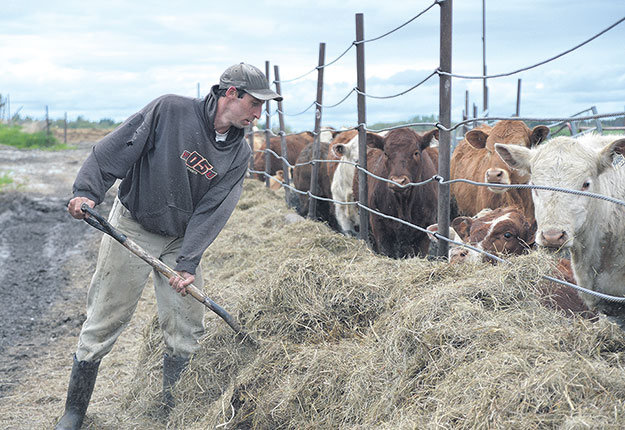 Samuel Beauregard est parti de Drummondville pour acquérir une ferme bovine en Abitibi. Crédit photo : Émélie Rivard-Boudreau