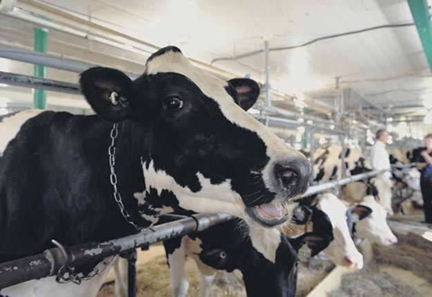 Le droit de produire de quatre des cinq provinces de l’est du pays augmentera de 1 % le 1er mars. Crédit photo : Archives TCN