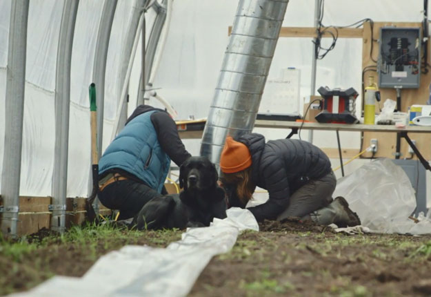 Annie-Claude et Justine en sont à leur première expérience dans la construction d’une serre et ça les stresse un peu. Le chien, lui, ne semble pas trop s’en formaliser.