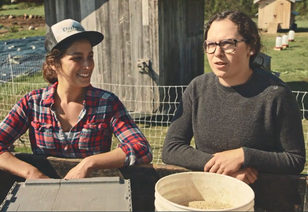 Mélanie Villemaire et sa collègue Mathilde Bouchard s’apprêtent à nourrir les poules heureuses à la Ferme des Quatre-Temps, de Port-au-Persil.