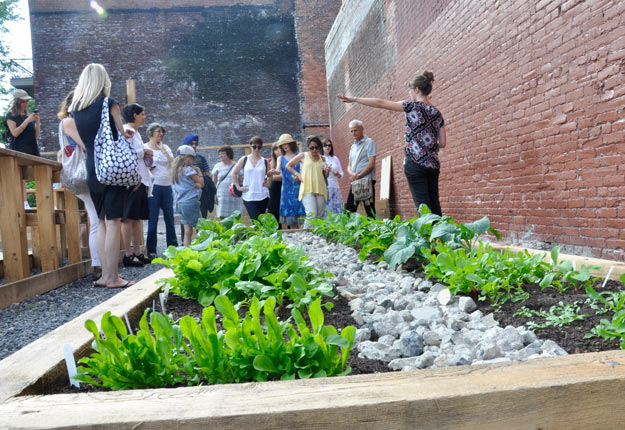 Un potager en libre-service cultivé sur Laurier Ouest à Montréal dans le cadre d’un projet de jardin éphémère. Photo : Gracieuseté de Simon Van Vliet